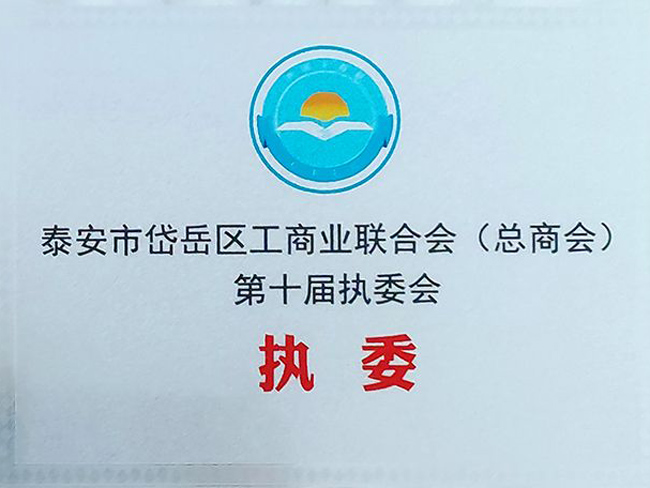 泰安市岱岳區(qū)工商業(yè)聯合會(總商會)第十屆執(zhí)委會-執(zhí)委